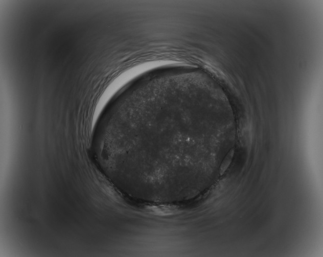X0000085050417200703051421
