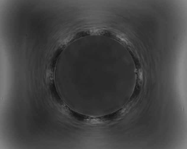 X0000085050419200703051421
