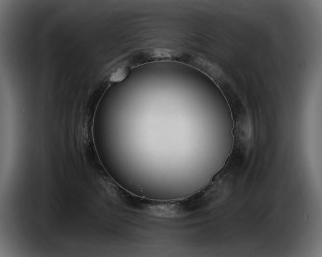 X0000085050422200703051421