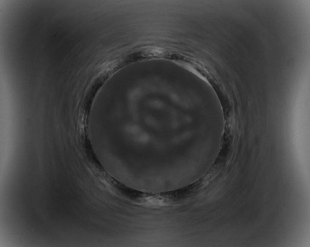 X0000085050423200703051421