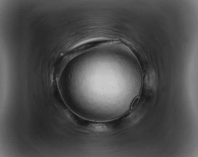 X0000085050424200703051421