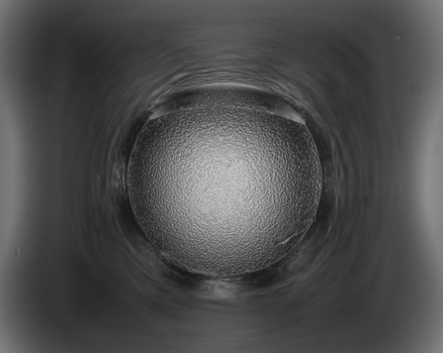 X0000085050425200703051421