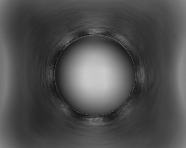 X0000085050426200703051421