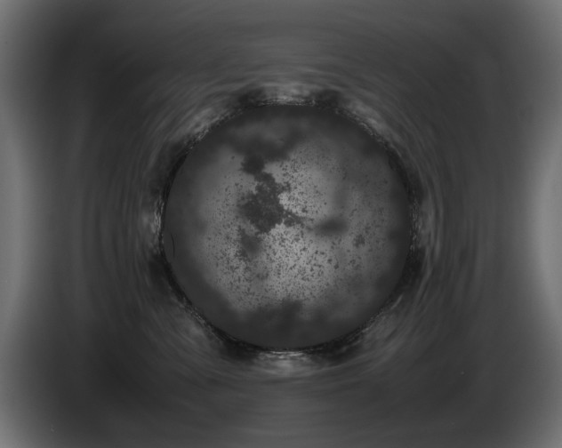 X0000085050427200703051421