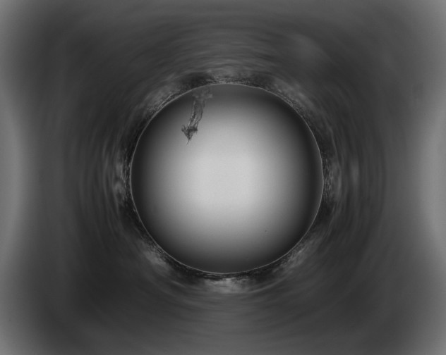 X0000085050430200703051421