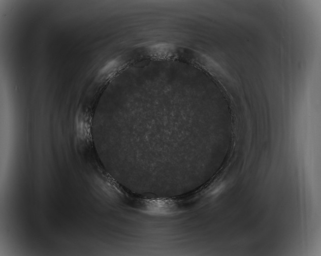 X0000085050432200703051421