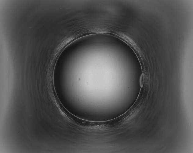 X0000085050433200703051420