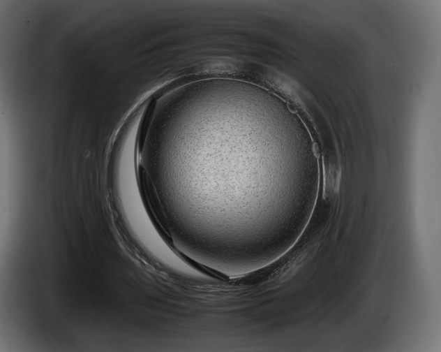 X0000085050435200703051420