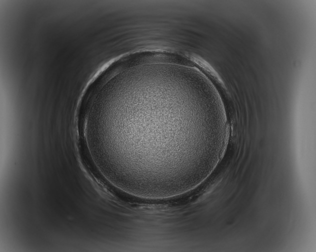 X0000085050436200703051421