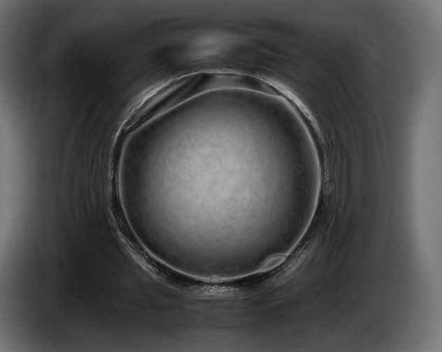 X0000085050437200703051421