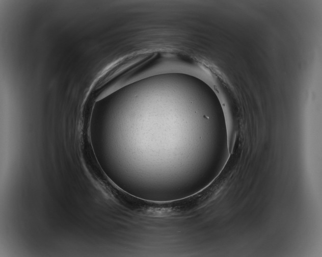 X0000085050440200703051421
