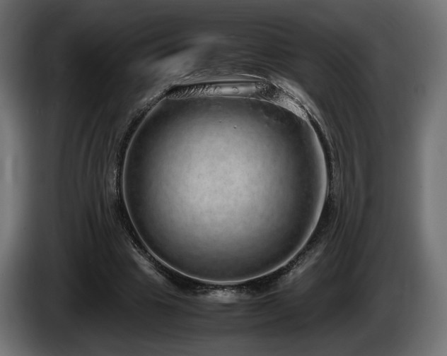 X0000085050441200703051421