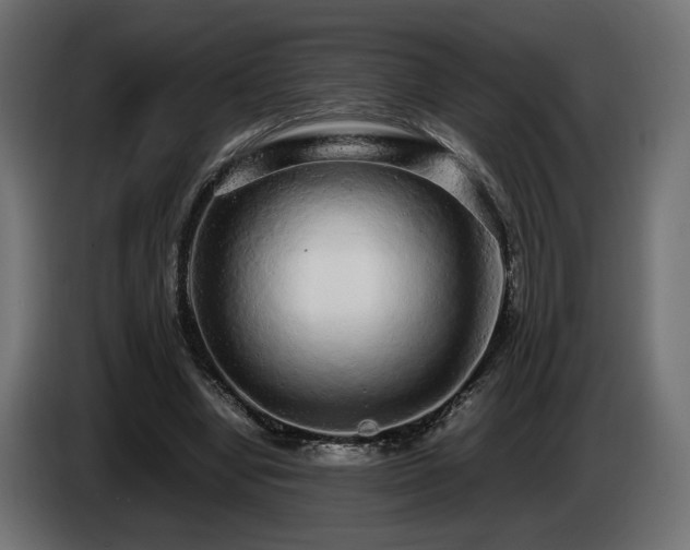 X0000085050442200703051421