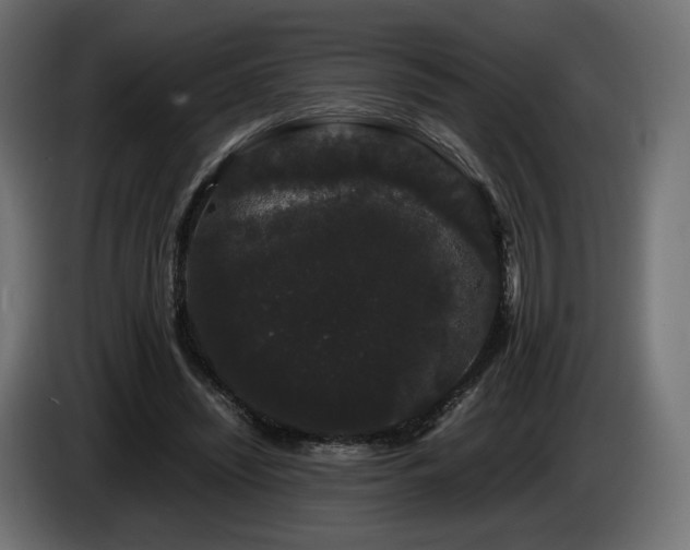 X0000085050444200703051421
