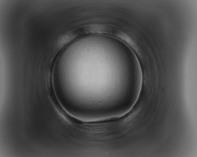 X0000085050445200703051421