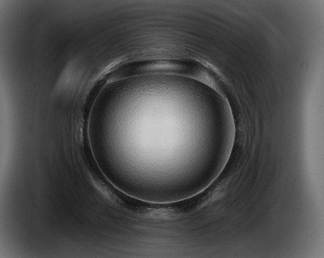 X0000085050446200703051421