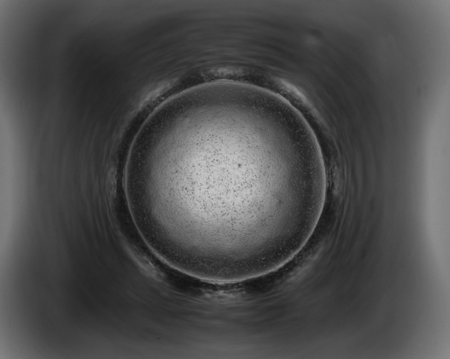 X0000085050447200703051421