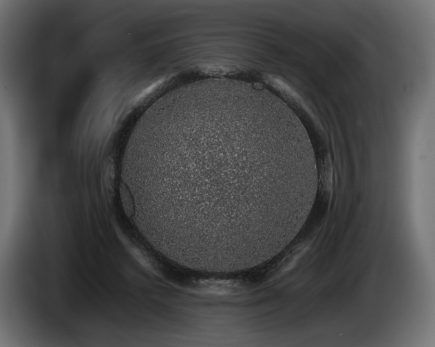 X0000085050448200703051421