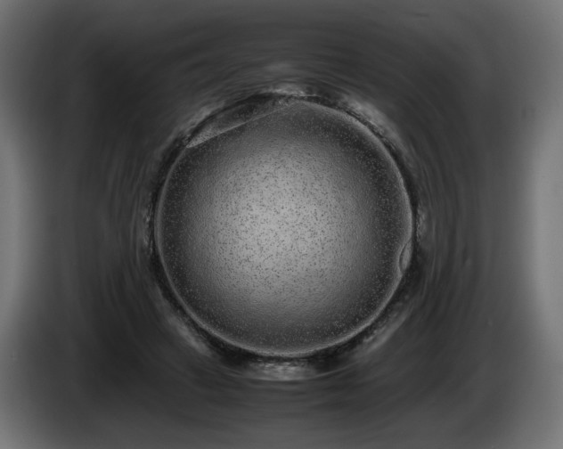 X0000085050449200703051421