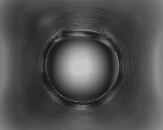 X0000085050450200703051421