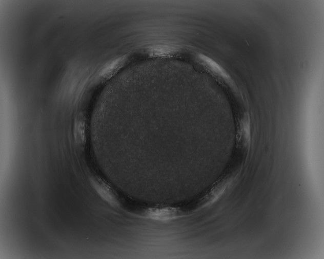 X0000085050452200703051421