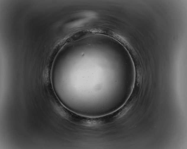 X0000085050453200703051421