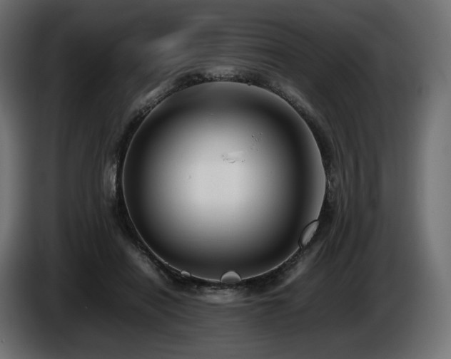X0000085050454200703051421