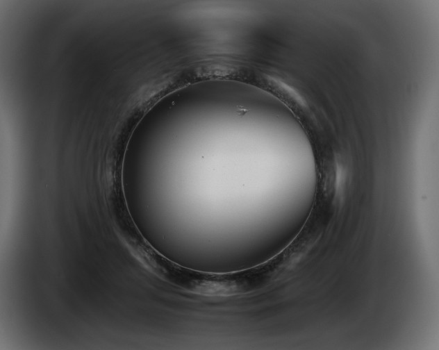 X0000085050455200703051421