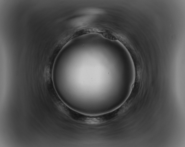 X0000085050457200703051421