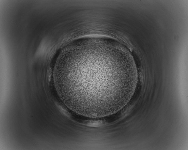 X0000085050458200703051421