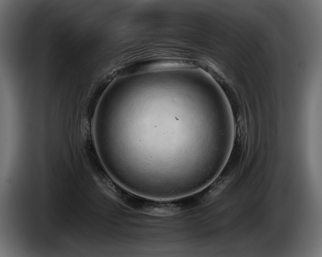 X0000085050459200703051421