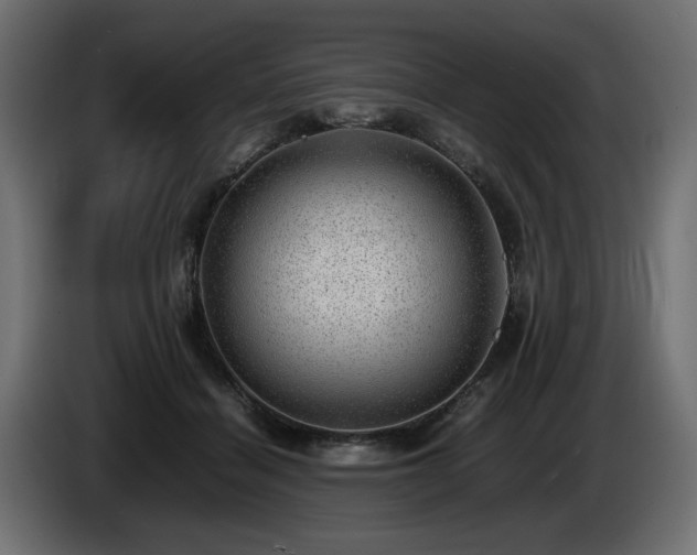 X0000085050460200703051421