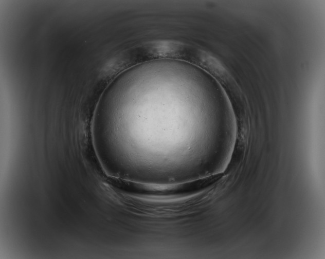 X0000085050461200703051421
