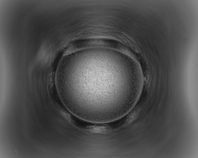 X0000085050462200703051421
