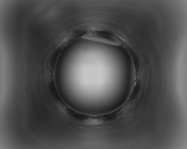 X0000085050464200703051421