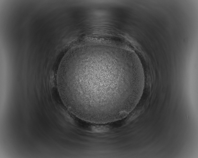X0000085050465200703051421