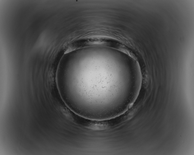 X0000085050466200703051421