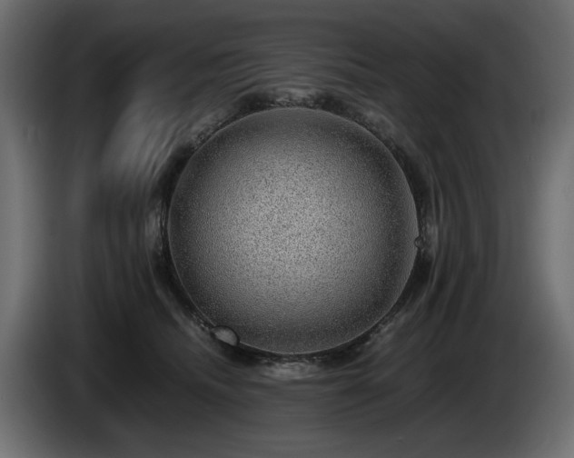X0000085050468200703051421