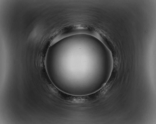 X0000085050470200703051421