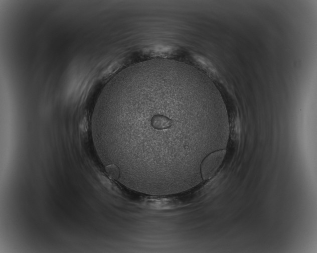 X0000085050472200703051421