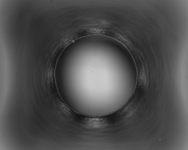X0000085050473200703051421