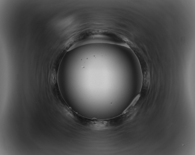 X0000085050474200703051421