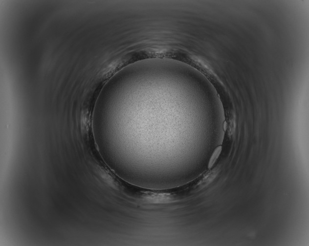 X0000085050476200703051421
