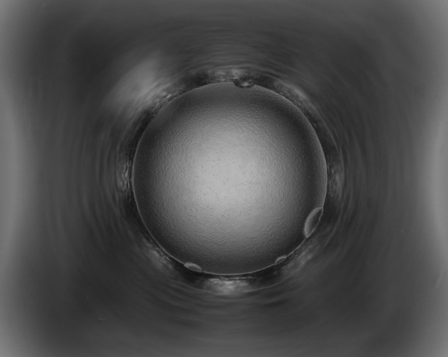 X0000085050477200703051421