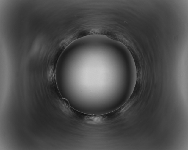 X0000085050478200703051421