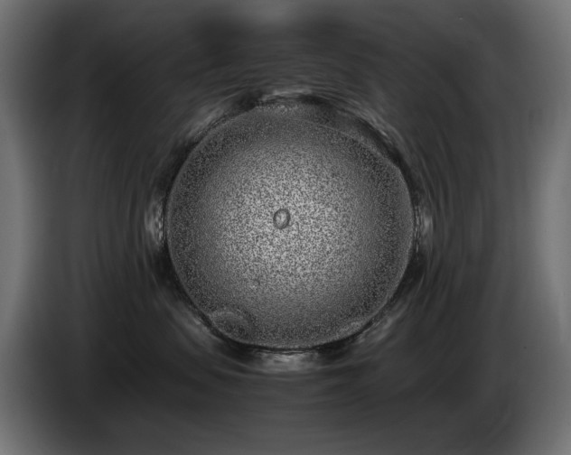 X0000085050479200703051421