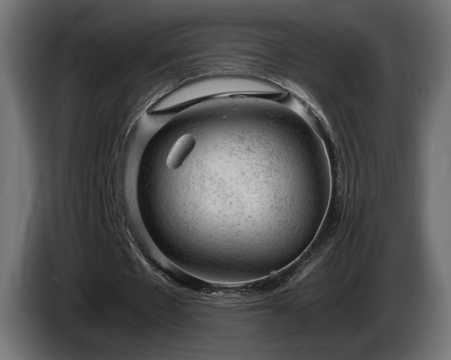 X0000085050481200703051420