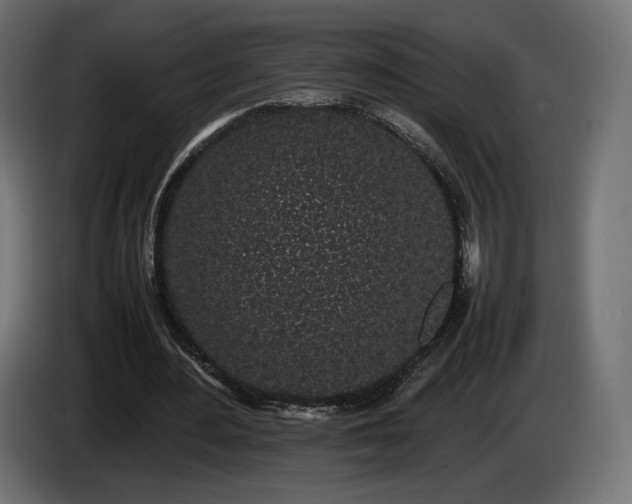 X0000085050484200703051420