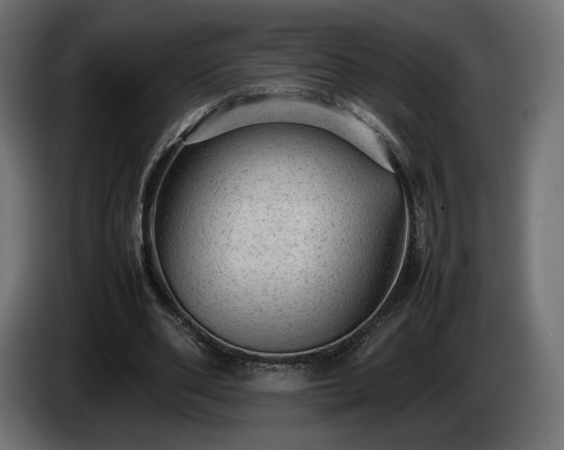 X0000085050486200703051420