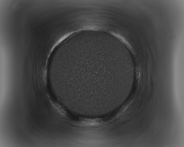 X0000085050488200703051420